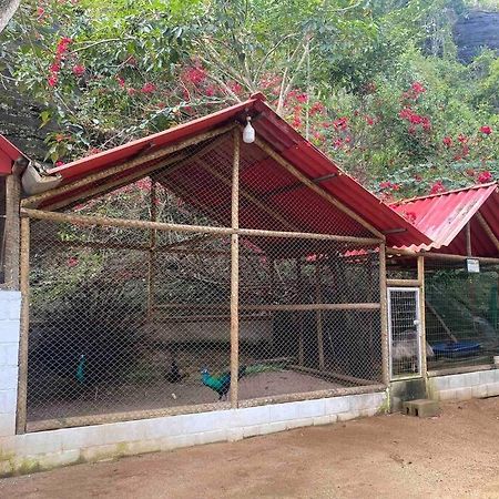 Sitio Familia Buscape @Sitiofamiliabuscape Domingos Martins Exterior foto
