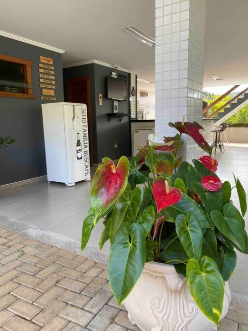 Sitio Familia Buscape @Sitiofamiliabuscape Domingos Martins Exterior foto