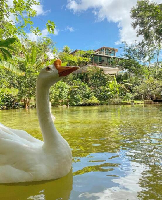 Sitio Familia Buscape @Sitiofamiliabuscape Domingos Martins Exterior foto
