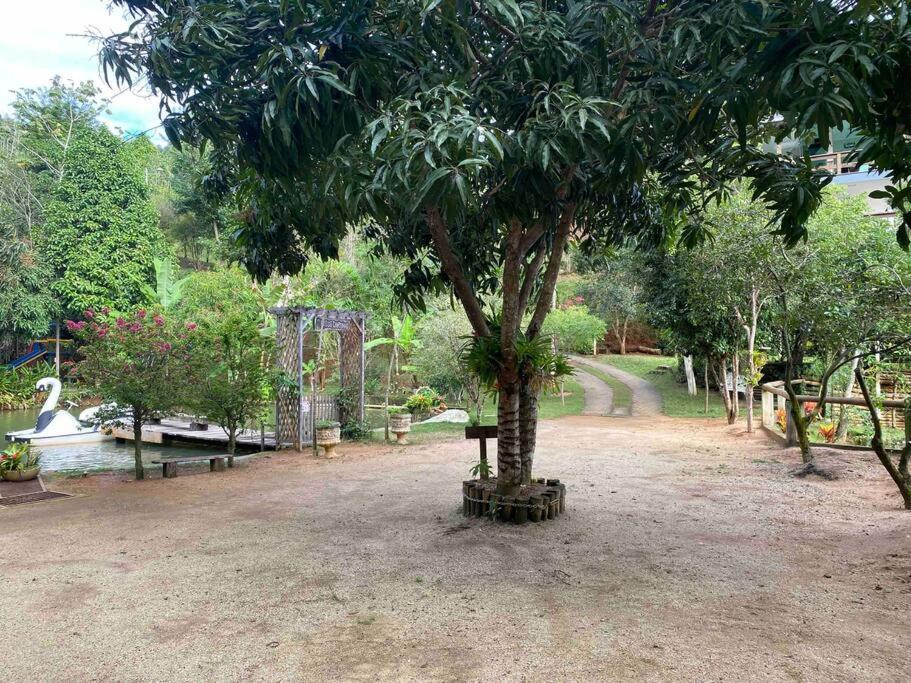 Sitio Familia Buscape @Sitiofamiliabuscape Domingos Martins Exterior foto