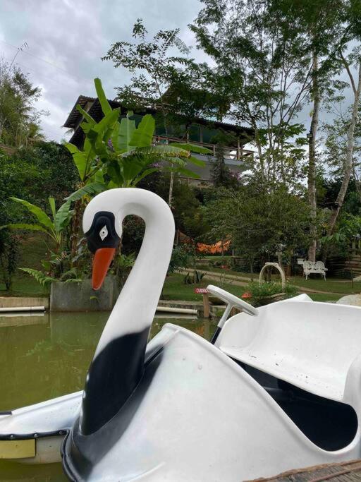 Sitio Familia Buscape @Sitiofamiliabuscape Domingos Martins Exterior foto