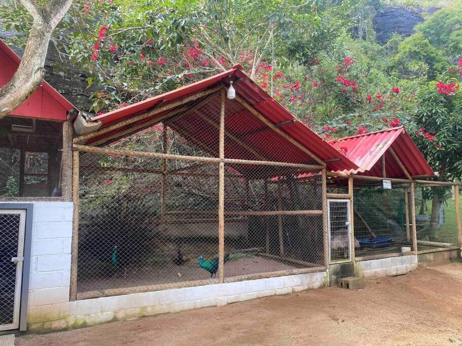 Sitio Familia Buscape @Sitiofamiliabuscape Domingos Martins Exterior foto